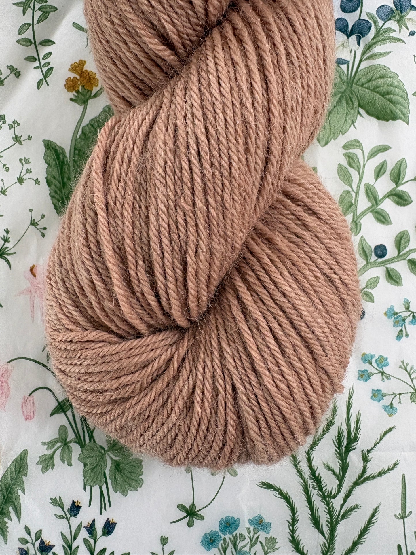 Drumlin Alpaca - Mouseling