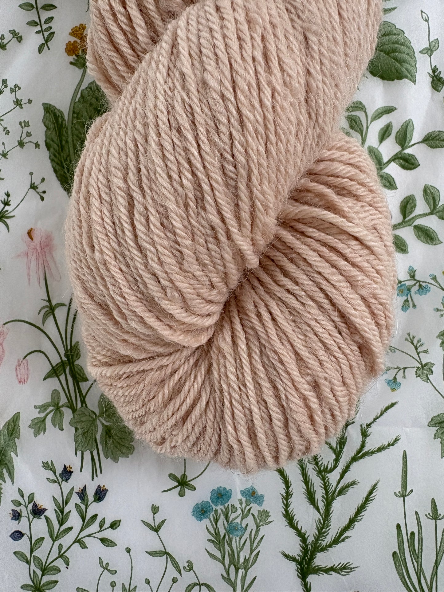 Drumlin Alpaca - Rosepaper
