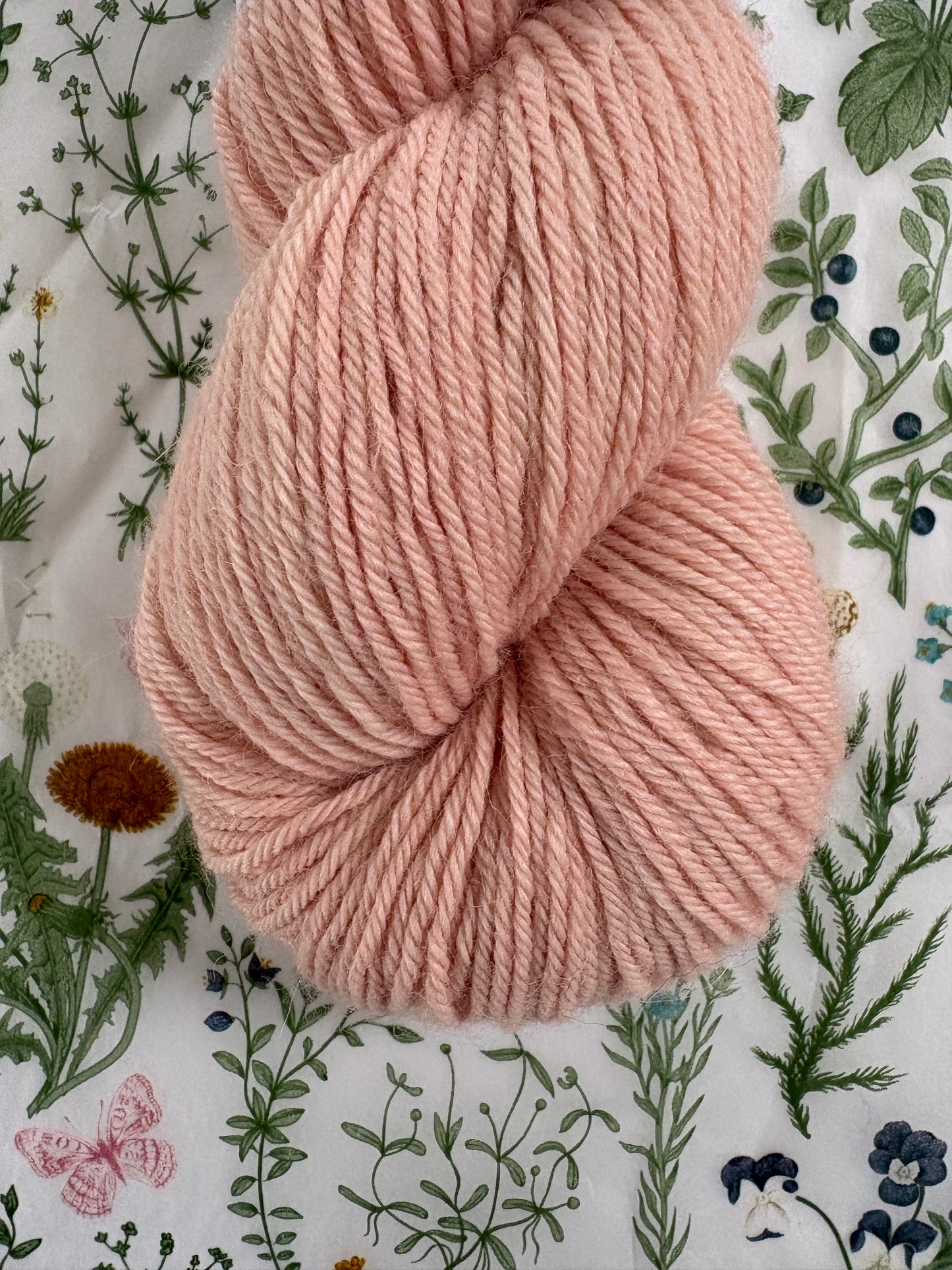 Drumlin Alpaca - Peach Water