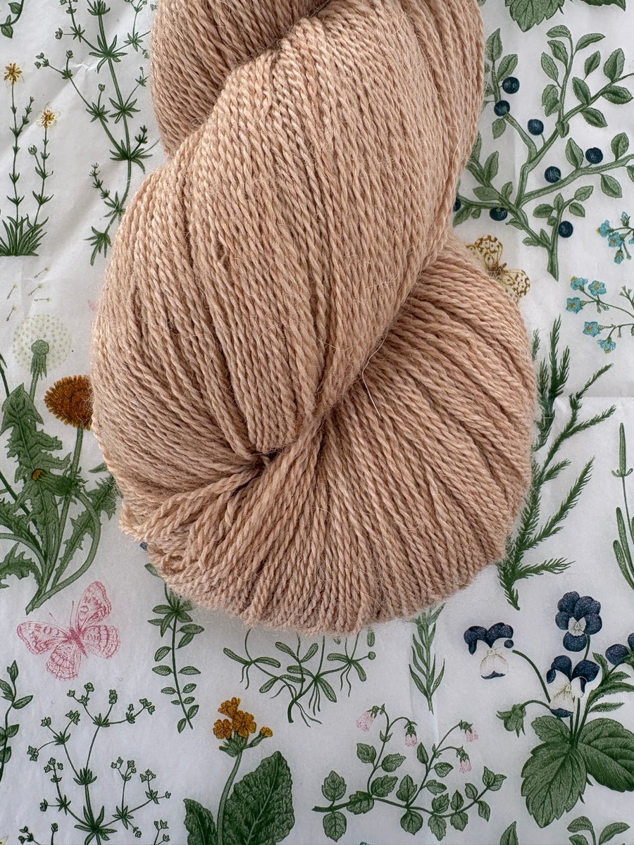 Cloudsong Lace - Biscotti