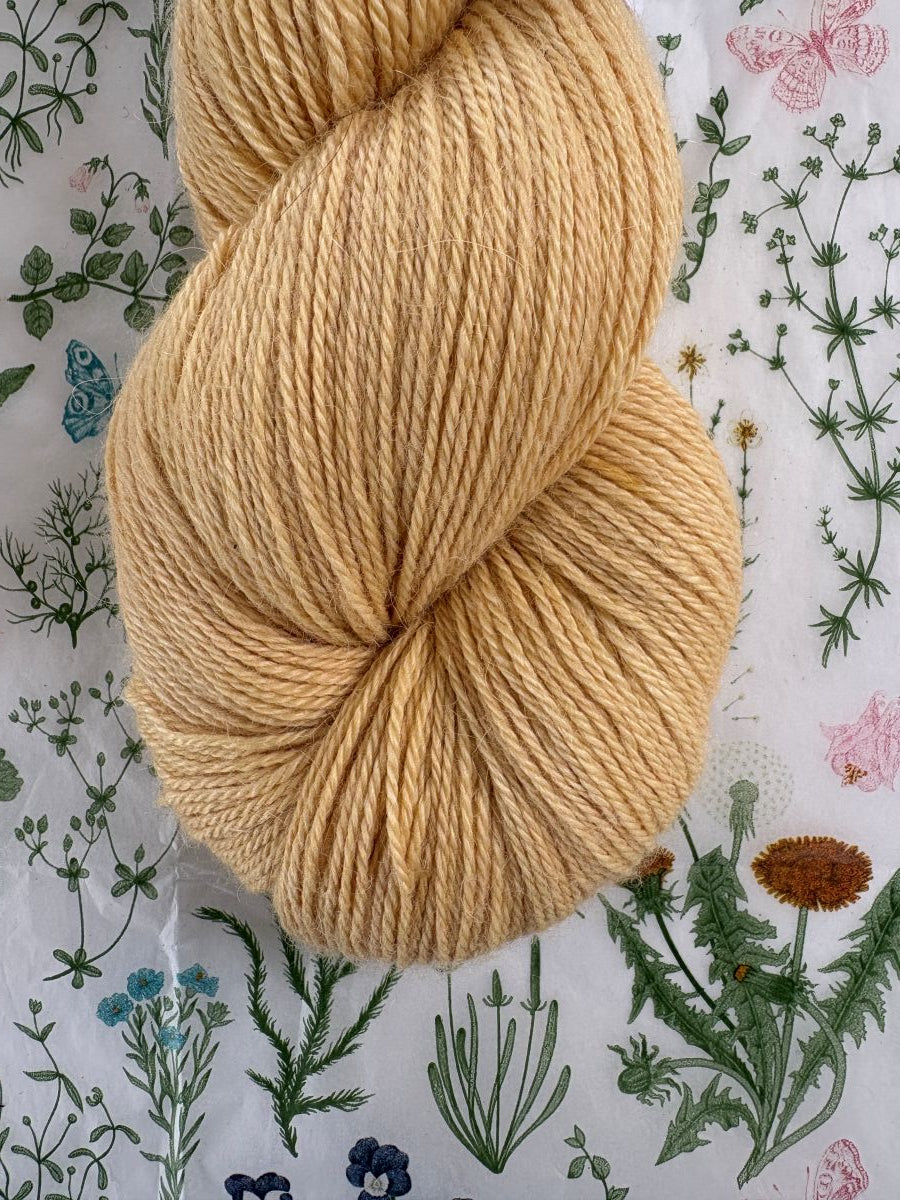 Cloudsong Breeze - Buttercream