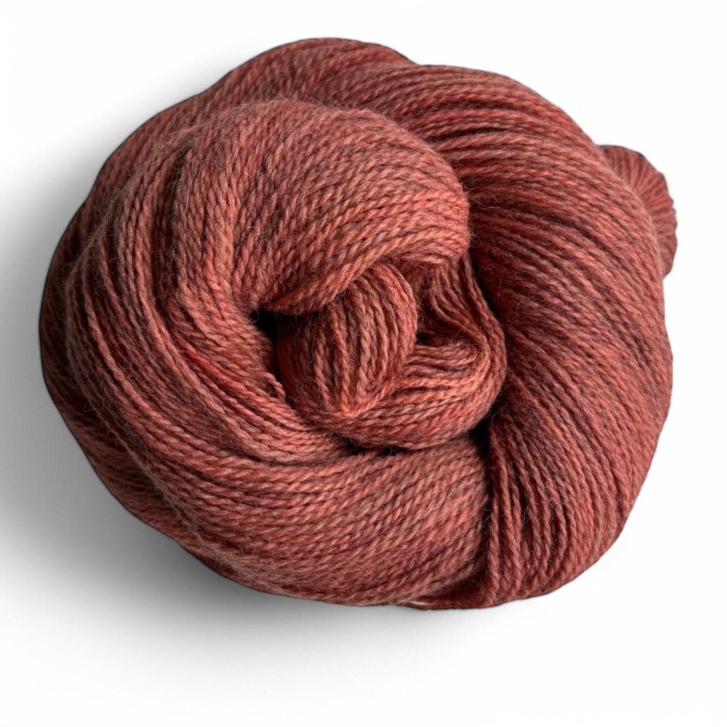 BFL Gotland - Cantaloupe