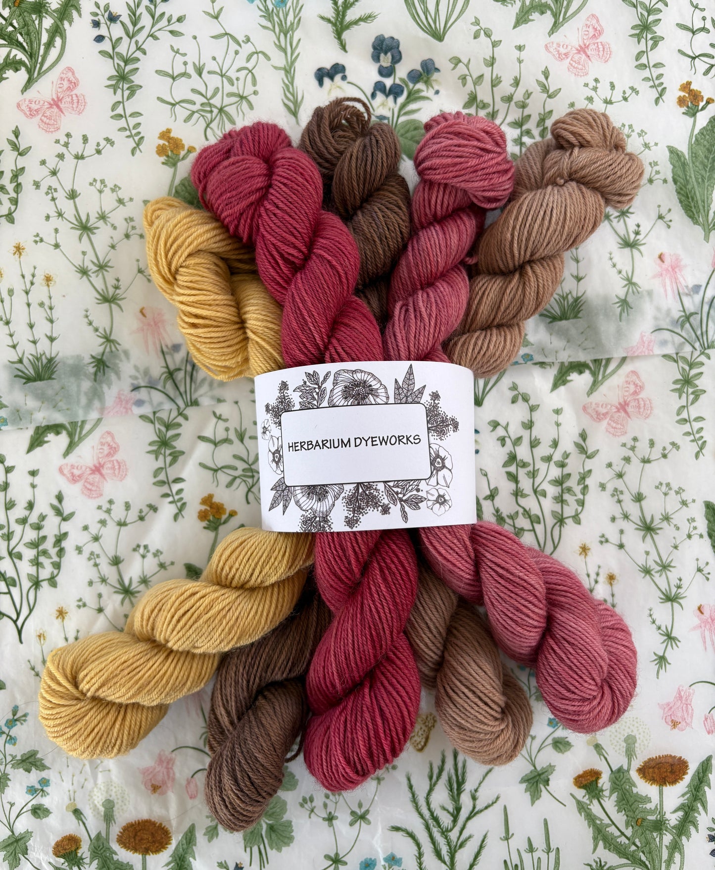 Mini skeins BFL - Queen's Drawing Room