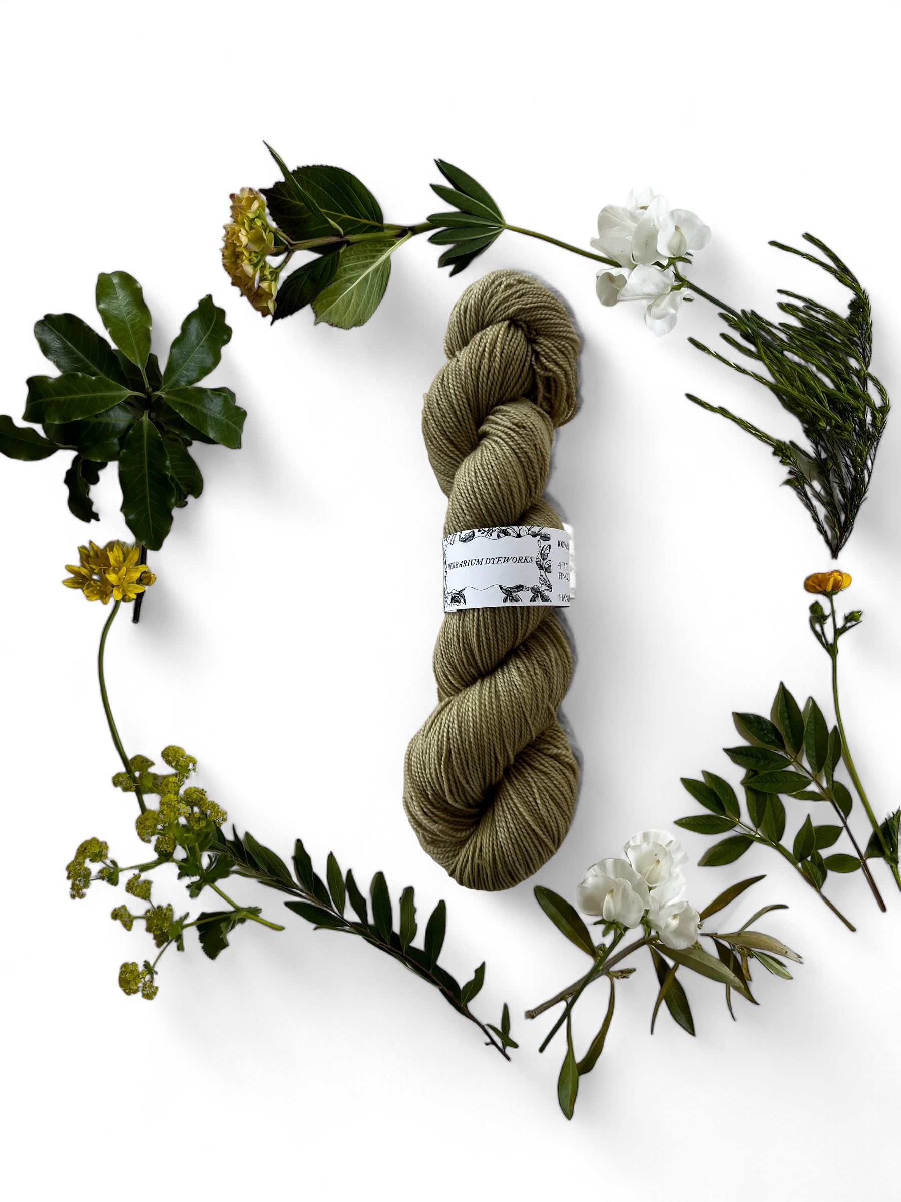 A skein of yarn in asparagus green dyed with Black Elder Lace from the garden and surrounded by a wreath of leaves and flowers