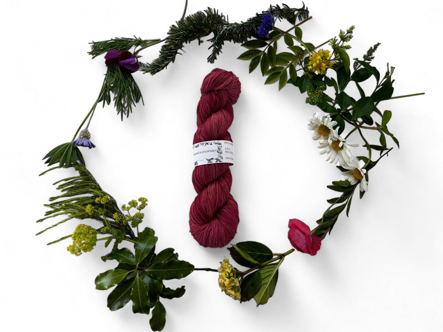 One skein of merino yarn in carmine red dyed with Madder, Lac and Logwood and surrounded by a wreath of flowers and leaves