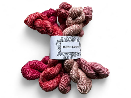 Mini skeins - Sweet Rosa