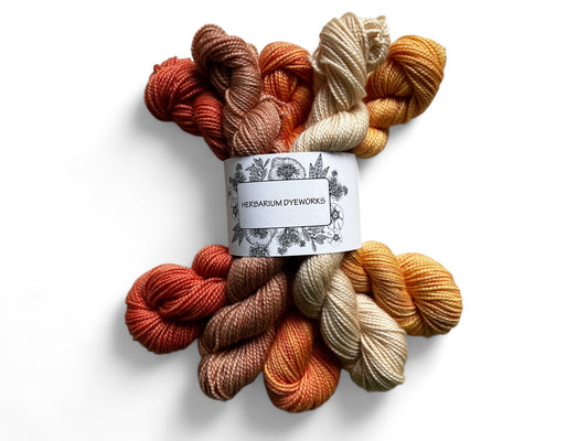 Mini skeins - Pumpkin Spice