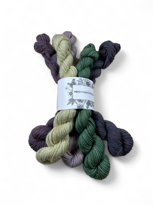 Mini skeins - Pentland Hills