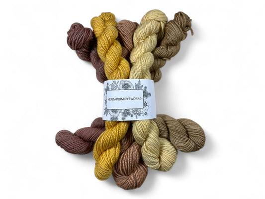 Mini skeins - Butter Biscuit