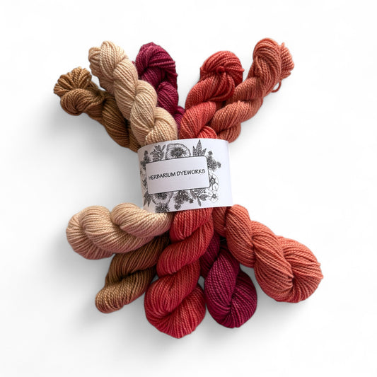 Mini skeins - Bittersweet