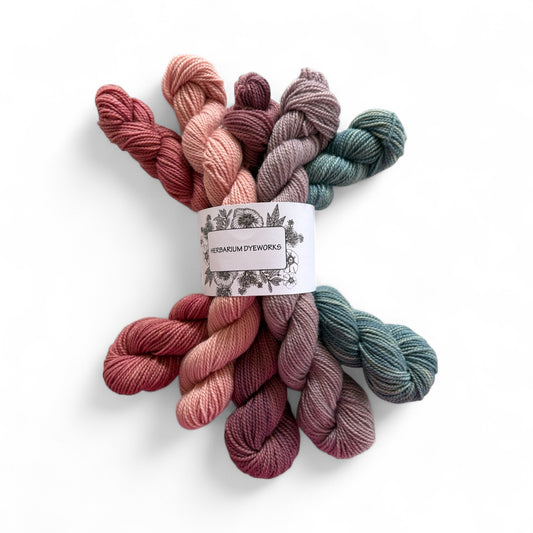 Mini skeins - Voltaire