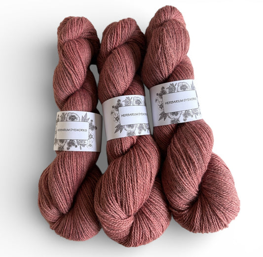 BFL Gotland - Bronzed Rose
