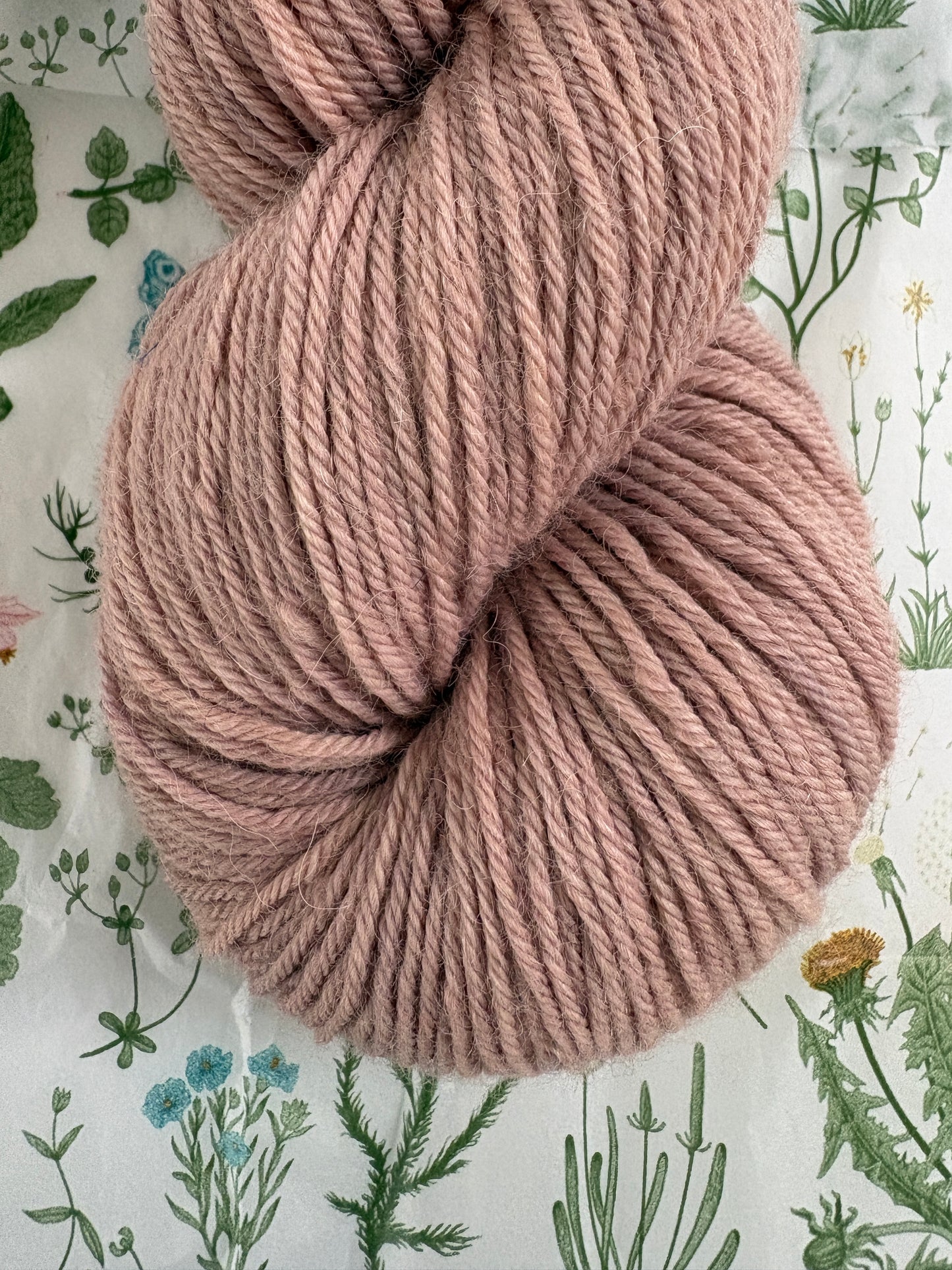 Drumlin Alpaca - Wisteria Bark