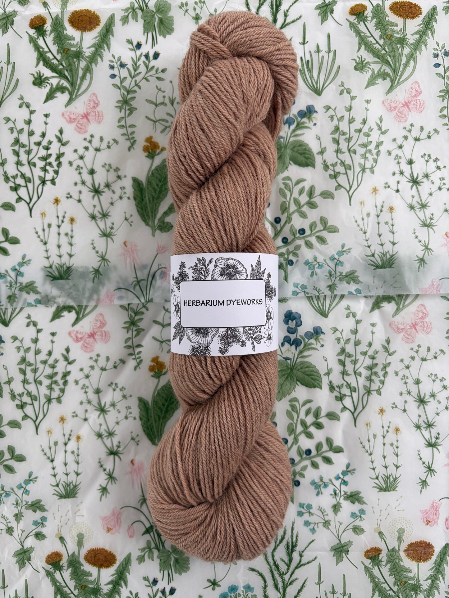 Drumlin Alpaca - Mouseling
