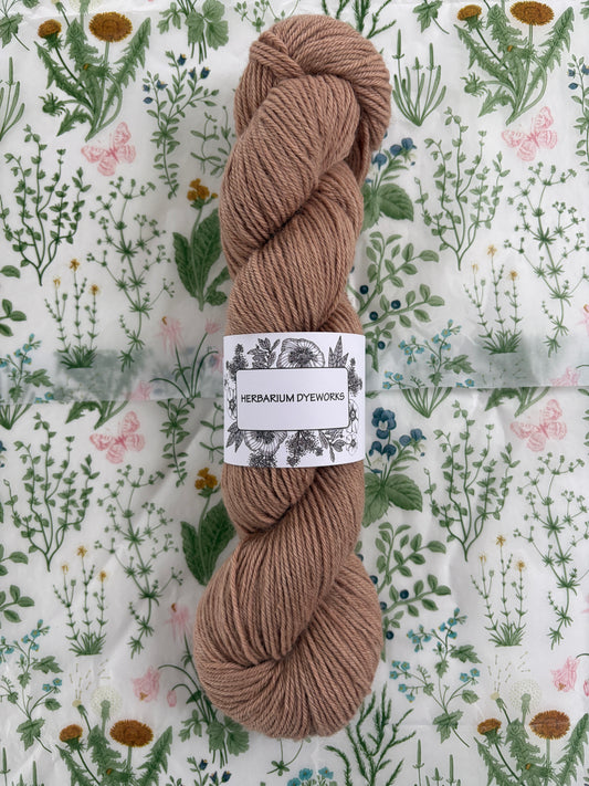 Drumlin Alpaca - Mouseling