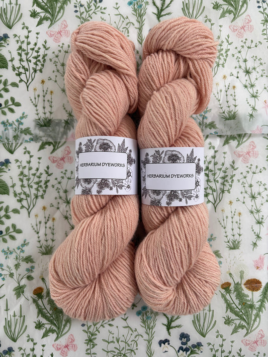 Drumlin Alpaca - Peach Water