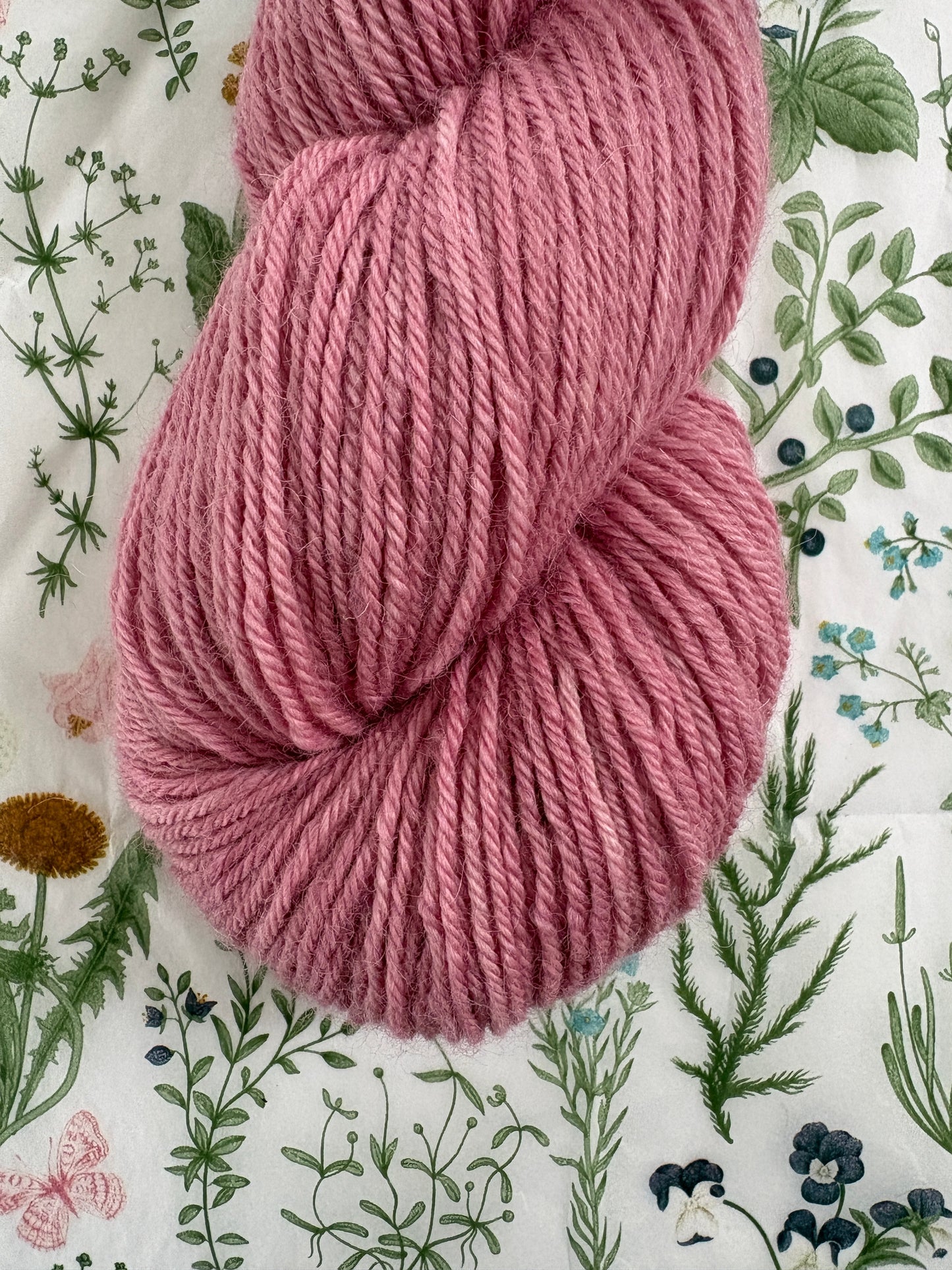 Drumlin Alpaca - Orchid Petal