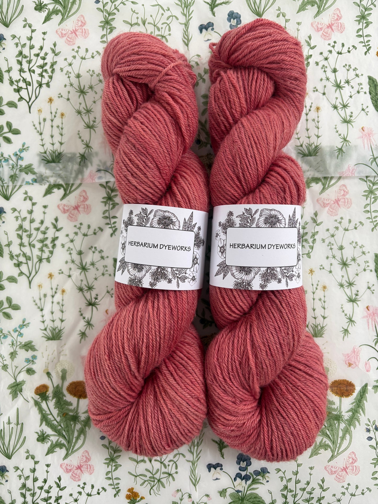Drumlin Alpaca - Blotted Kiss