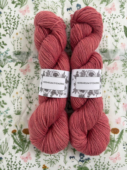 Drumlin Alpaca - Blotted Kiss