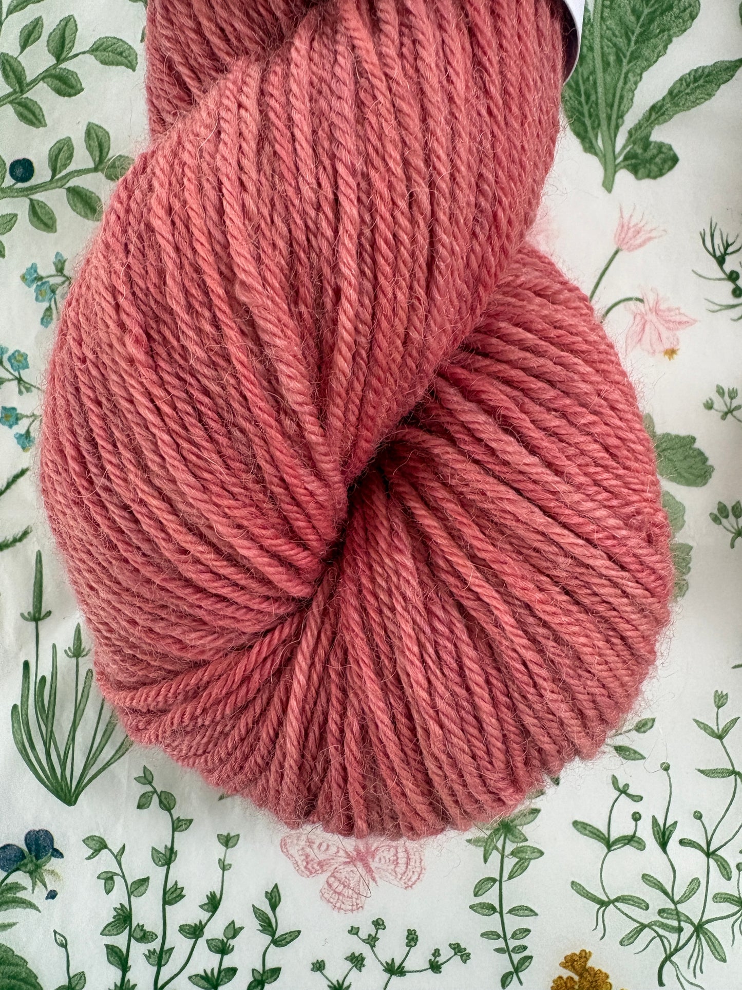 Drumlin Alpaca - Blotted Kiss