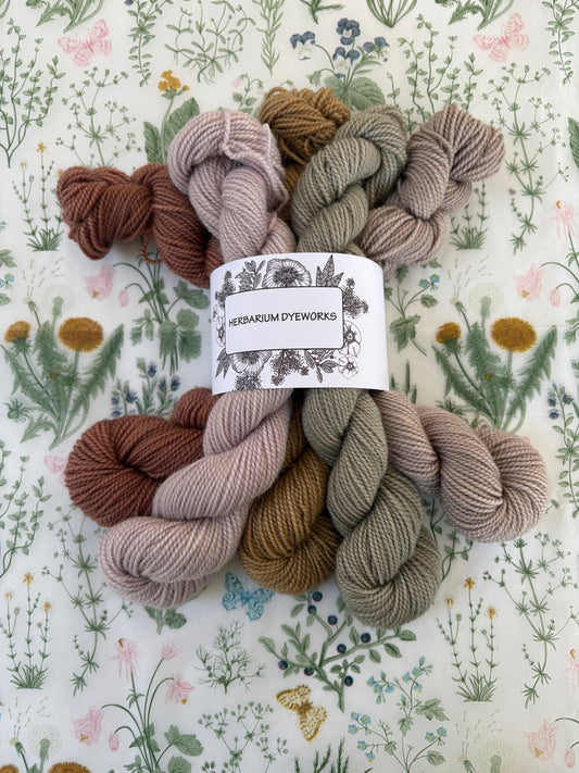 Mini skeins - Strangford Mist