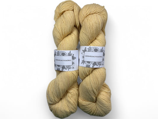 Bluefaced Leicester - Eggnog