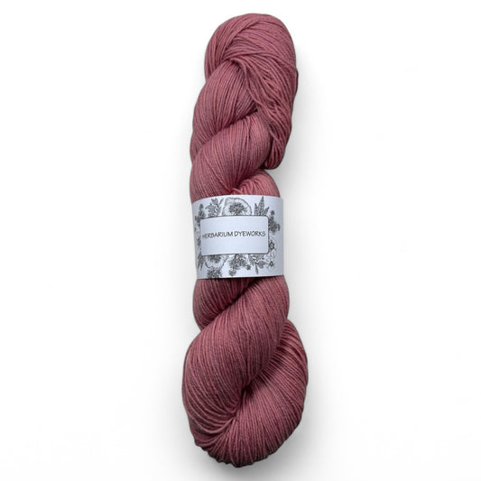 BFL Sock - French Rose