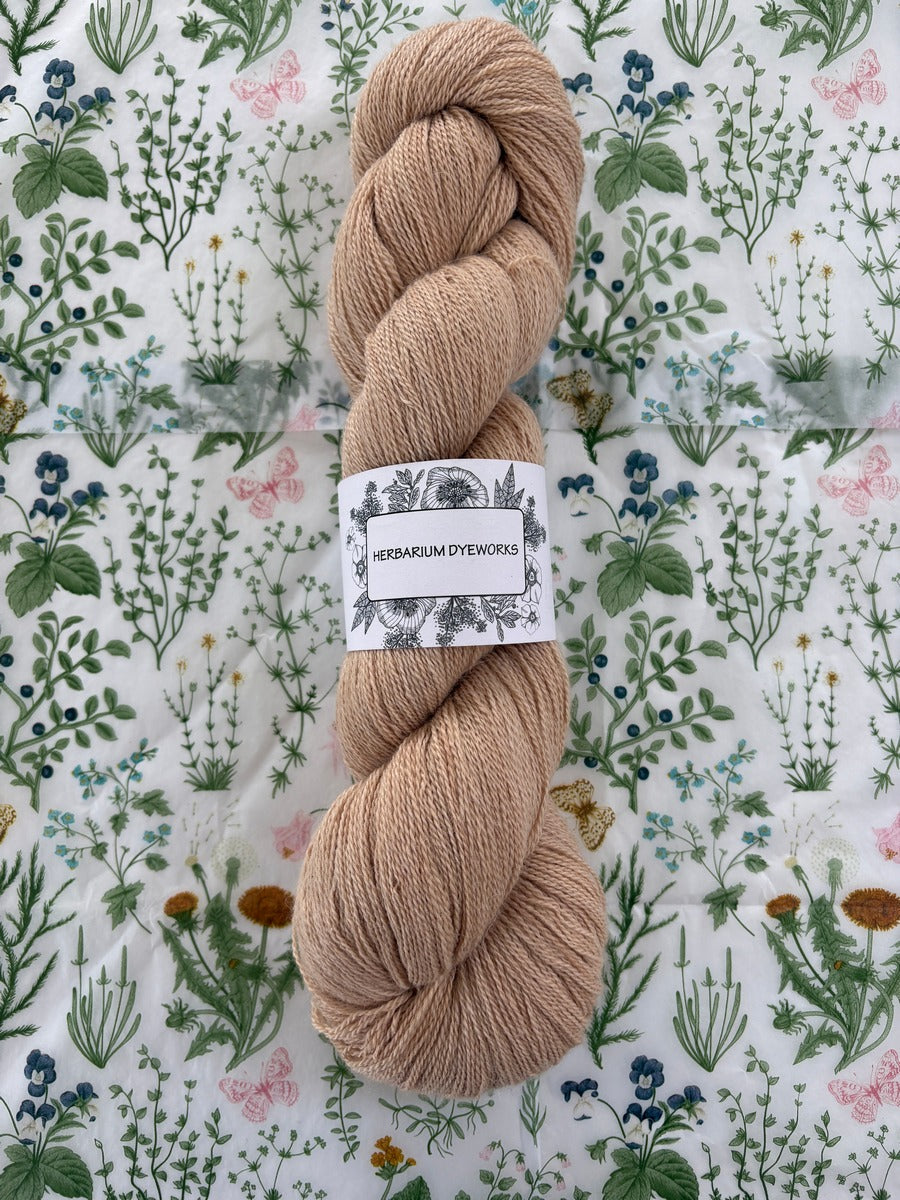 Cloudsong Lace - Biscotti