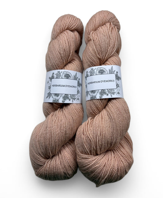 Bluefaced Leicester - Bisque