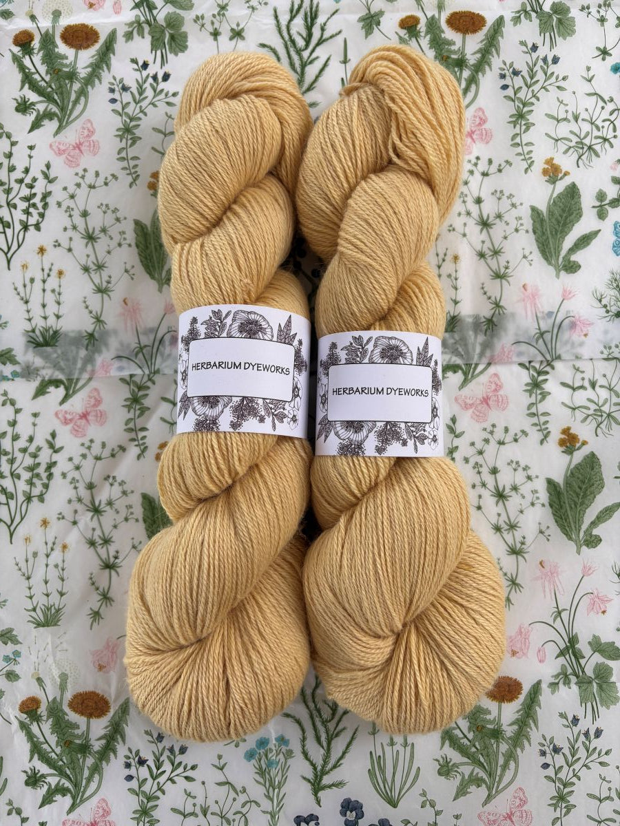 Cloudsong Breeze - Buttercream