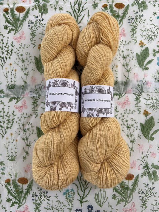Cloudsong Breeze - Buttercream
