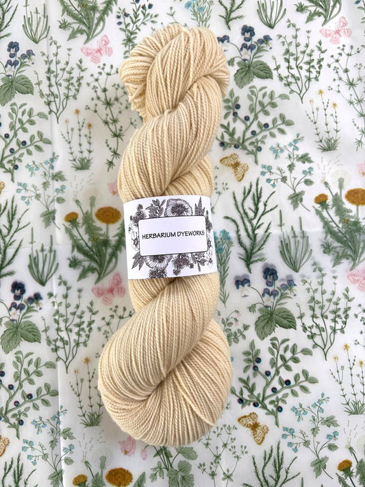 Merino Twist - Creamsicle