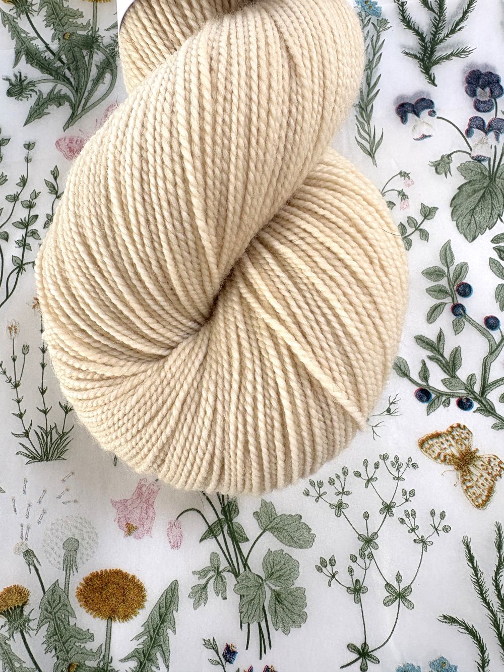 Merino Twist - Creamsicle