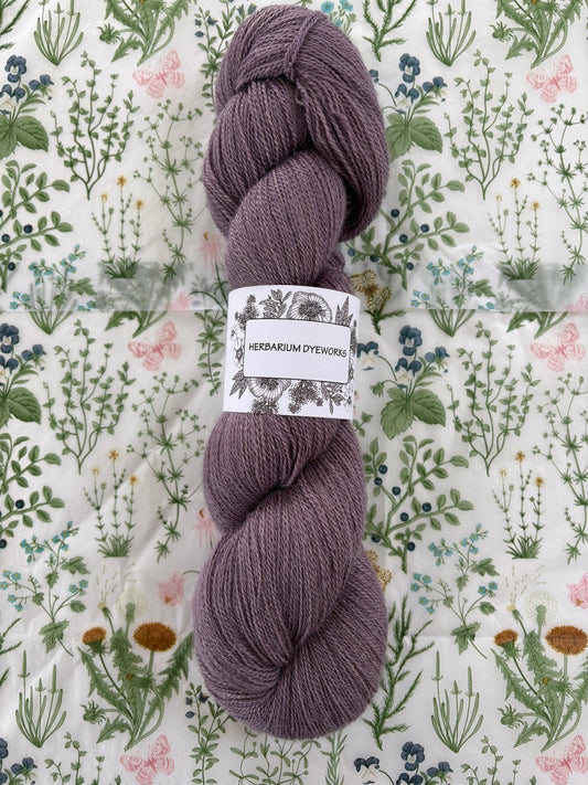 Cloudsong Lace - Creme de violette