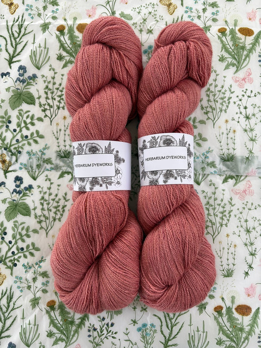 Cloudsong Lace - Fire Rose