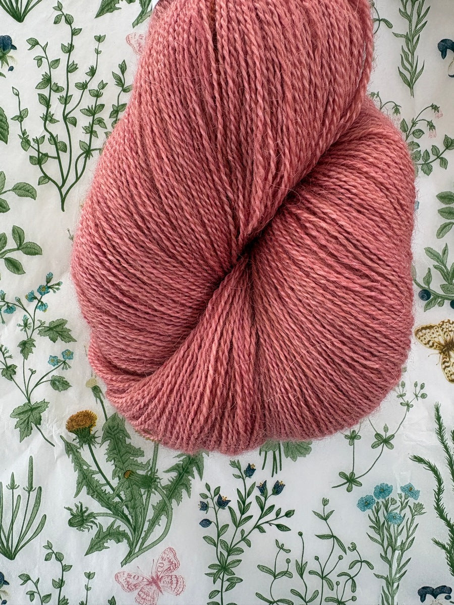 Cloudsong Lace - Fire Rose