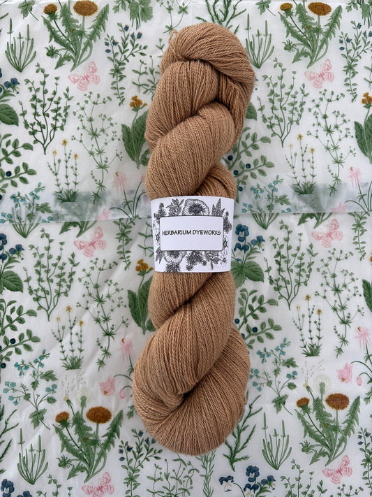Cloudsong Lace - Goldschlager