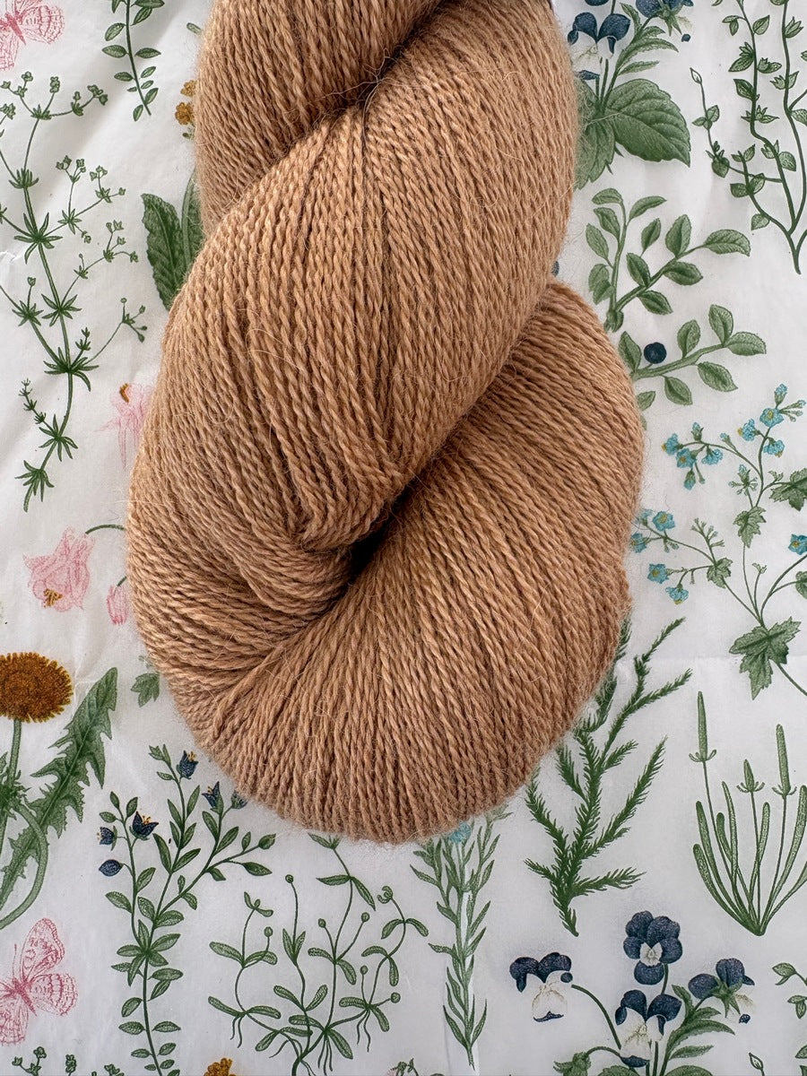 Cloudsong Lace - Goldschlager