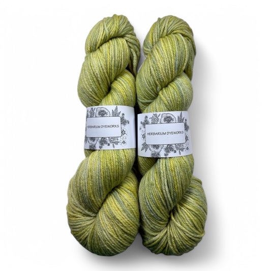 Merino DK - Key Lime