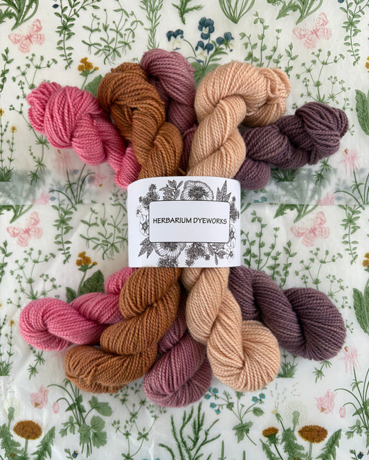 Mini skeins - Lavender Caramel