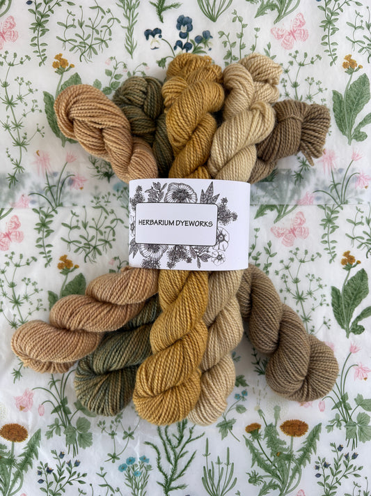 Mini skeins - Meadow Pollen