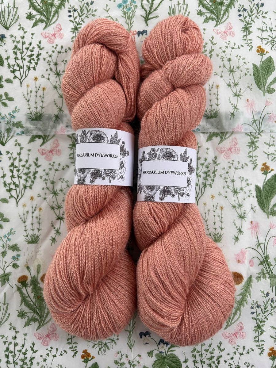 Cloudsong Lace - Peach Nectar