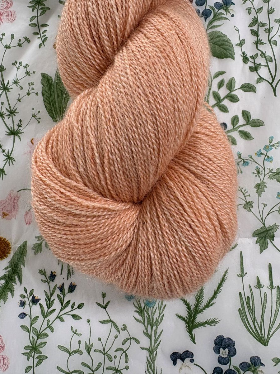 Cloudsong Lace - Apricot Bellini