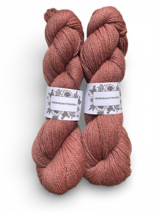 BFL Gotland - Copper Rose