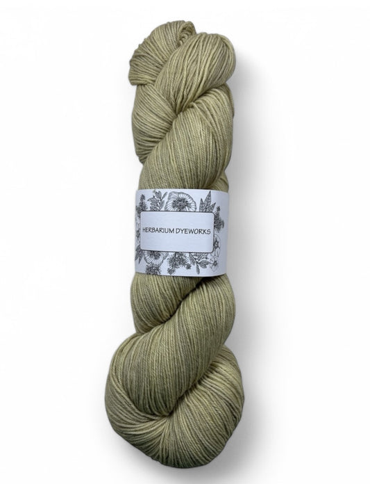 BFL Sock - Pistachio