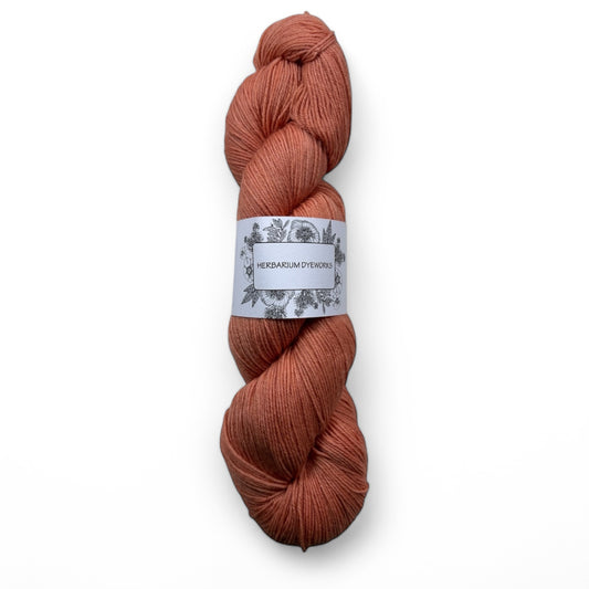 BFL Sock - Salamander