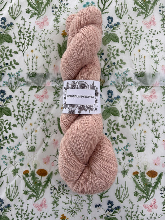 Cloudsong Lace - Shell Pink