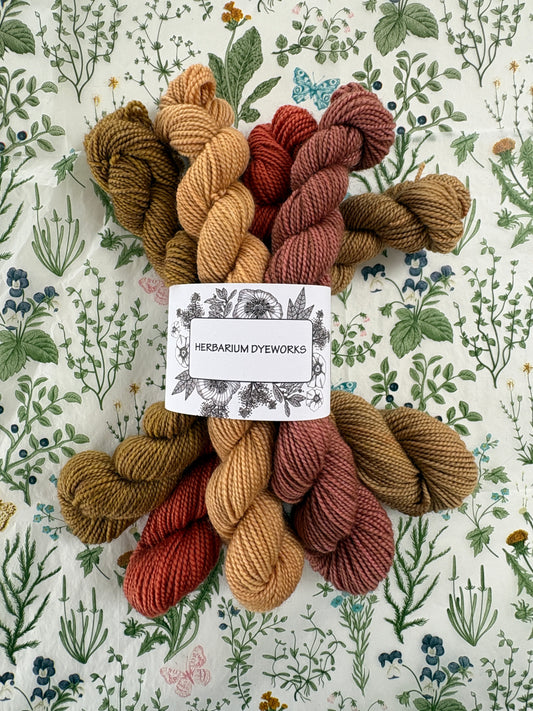 Mini skeins - Sunbaked
