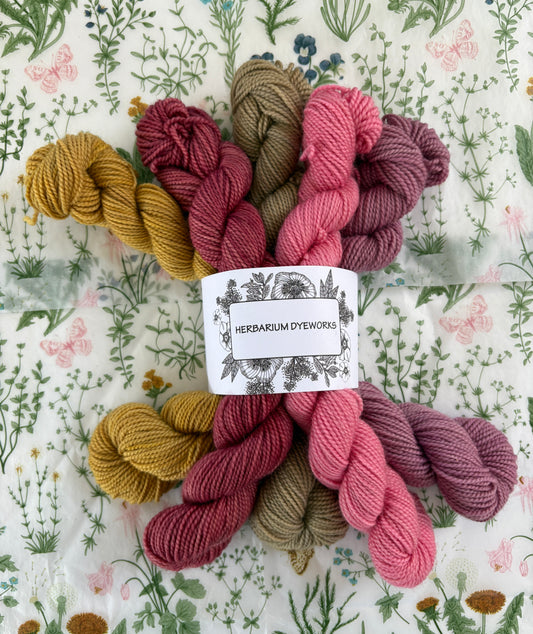 Mini skeins - Walled Garden
