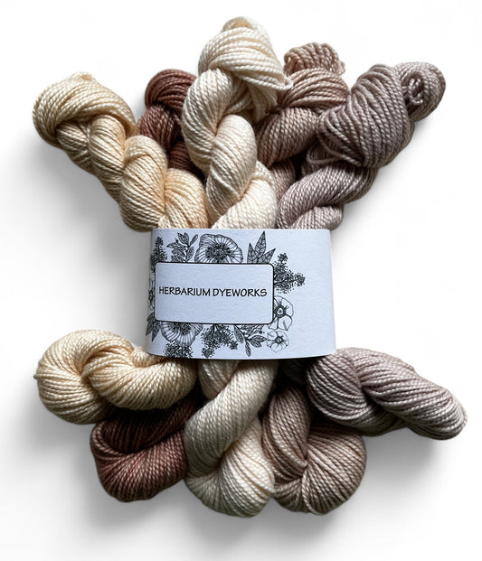 Mini skeins - Cafe au Lait